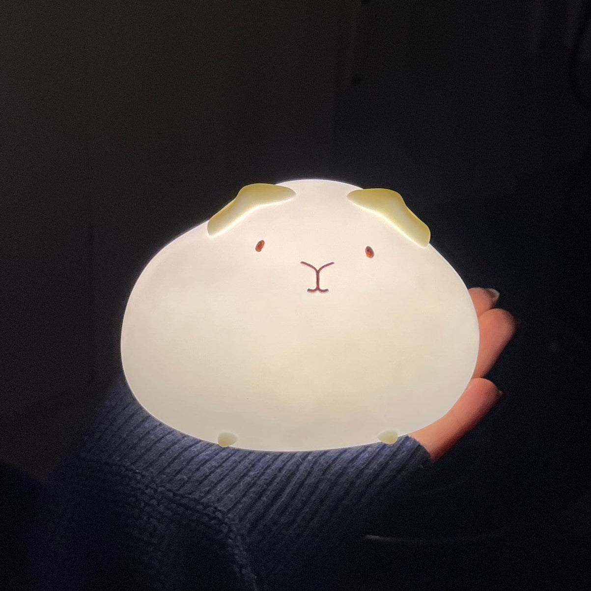 Guinea Pig Tap Light