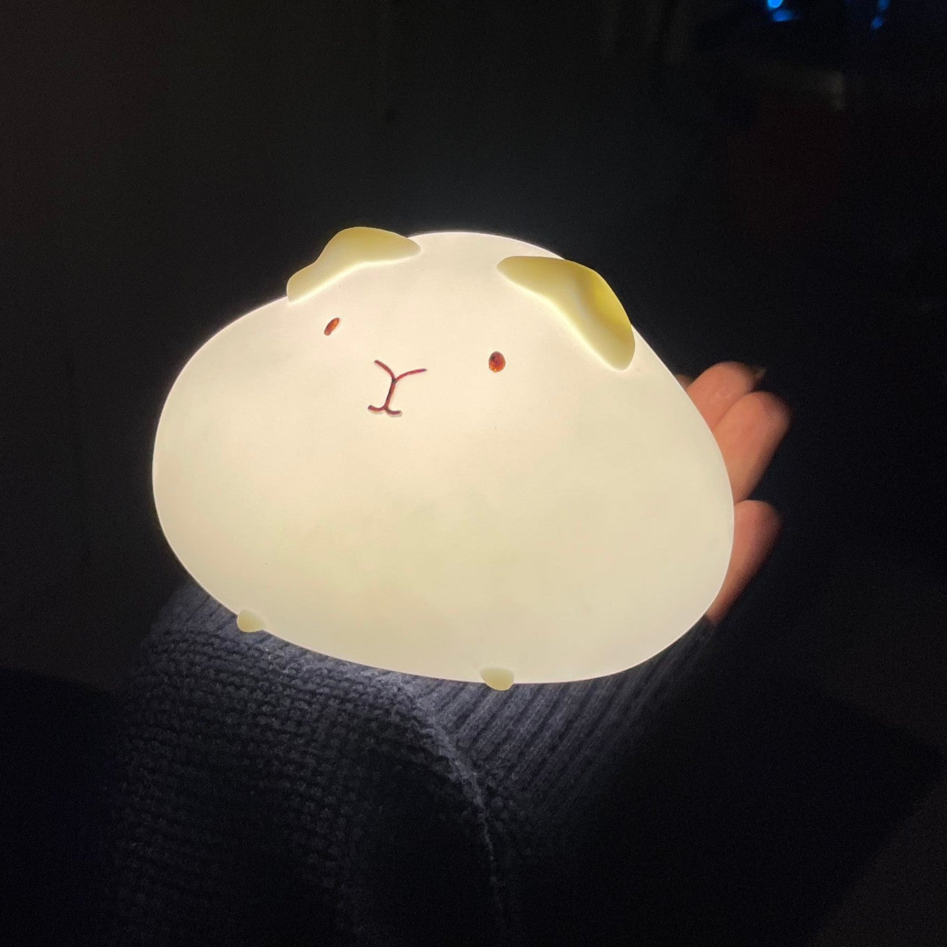 Guinea Pig Tap Light