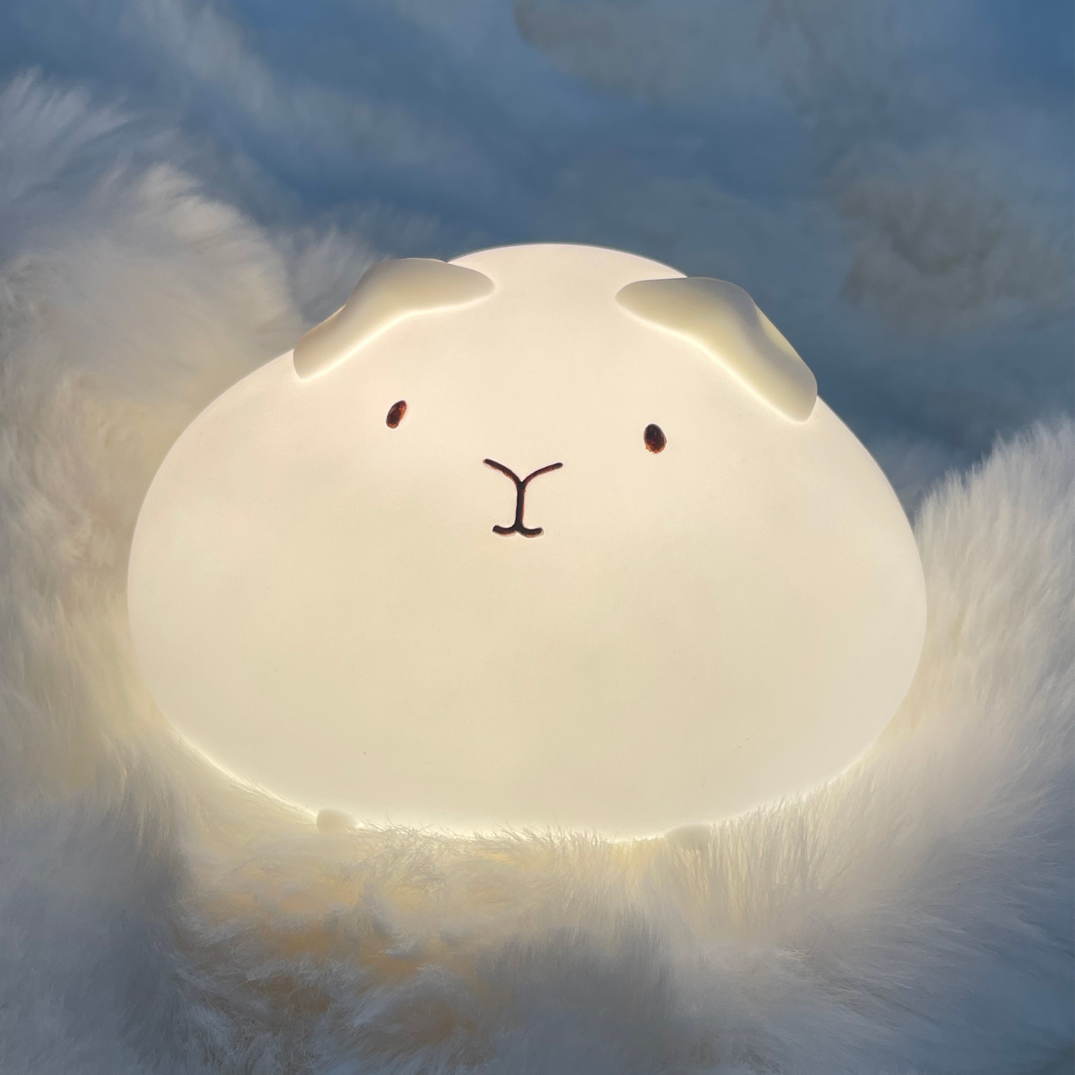 モルモット タップライト