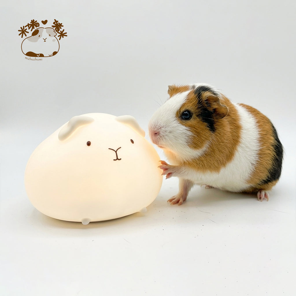 Guinea Pig Tap Light