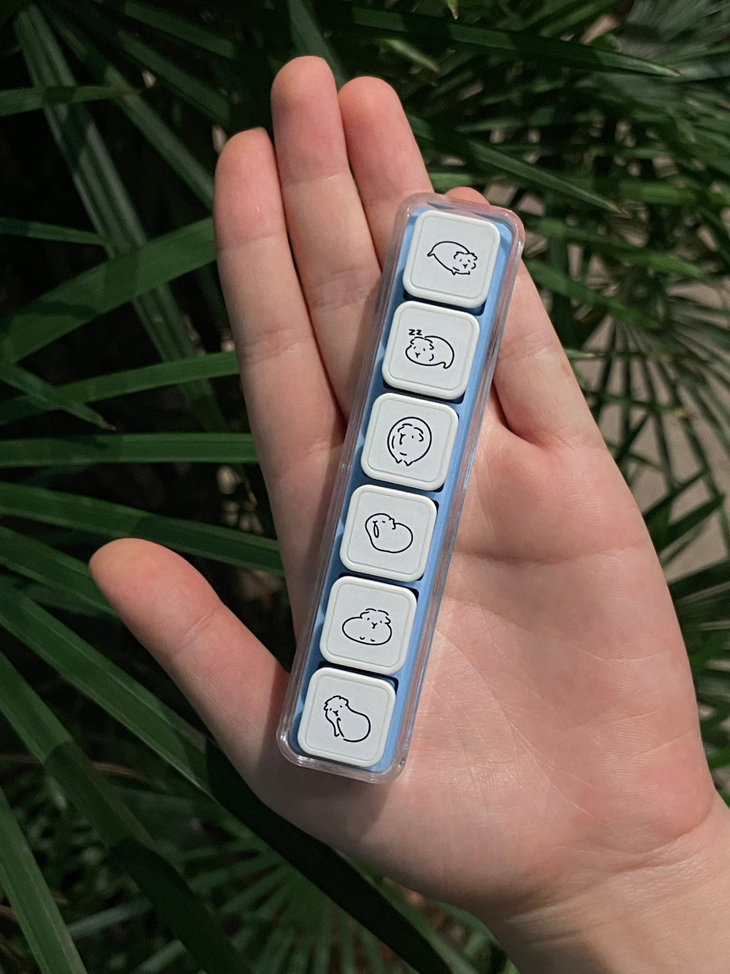 モルモット 6-in-1 取り外し可能スタンプブロック