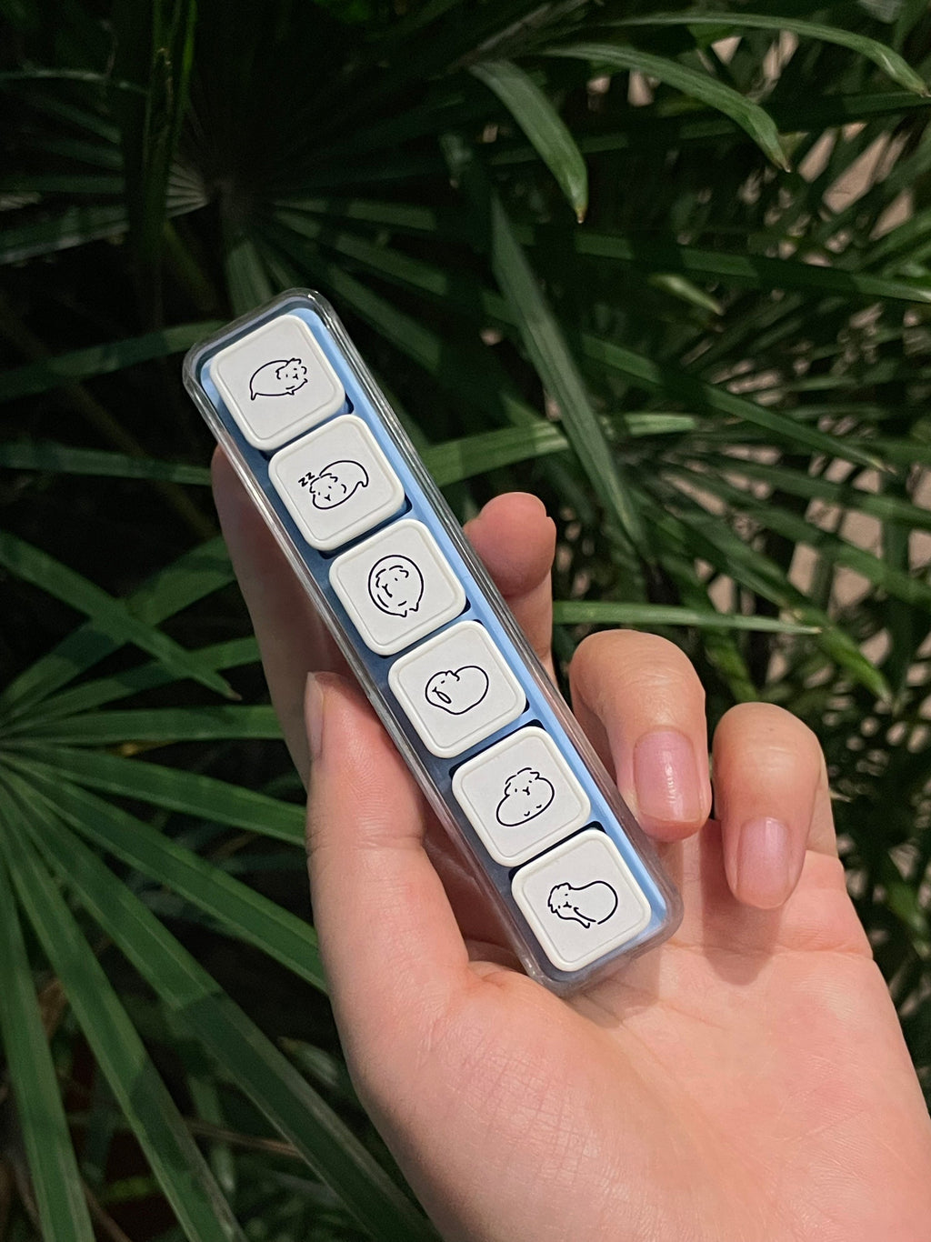 モルモット 6-in-1 取り外し可能スタンプブロック