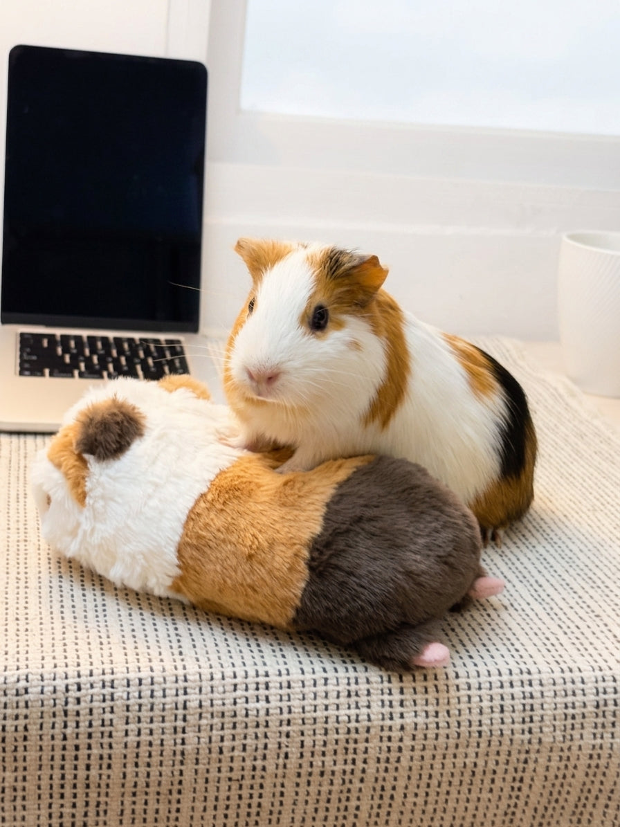 Calico guinea pig lying plush toy, product photo 10